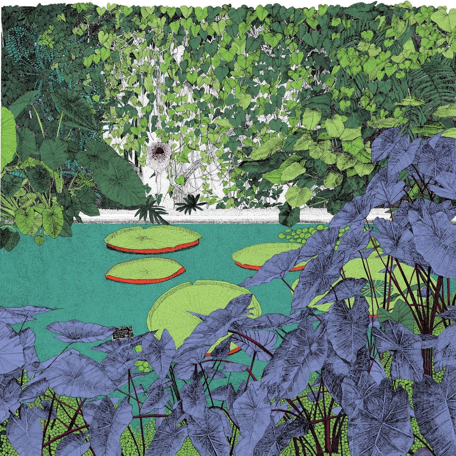 Clare Halifax, A Wonder of Waterlilies, 2023