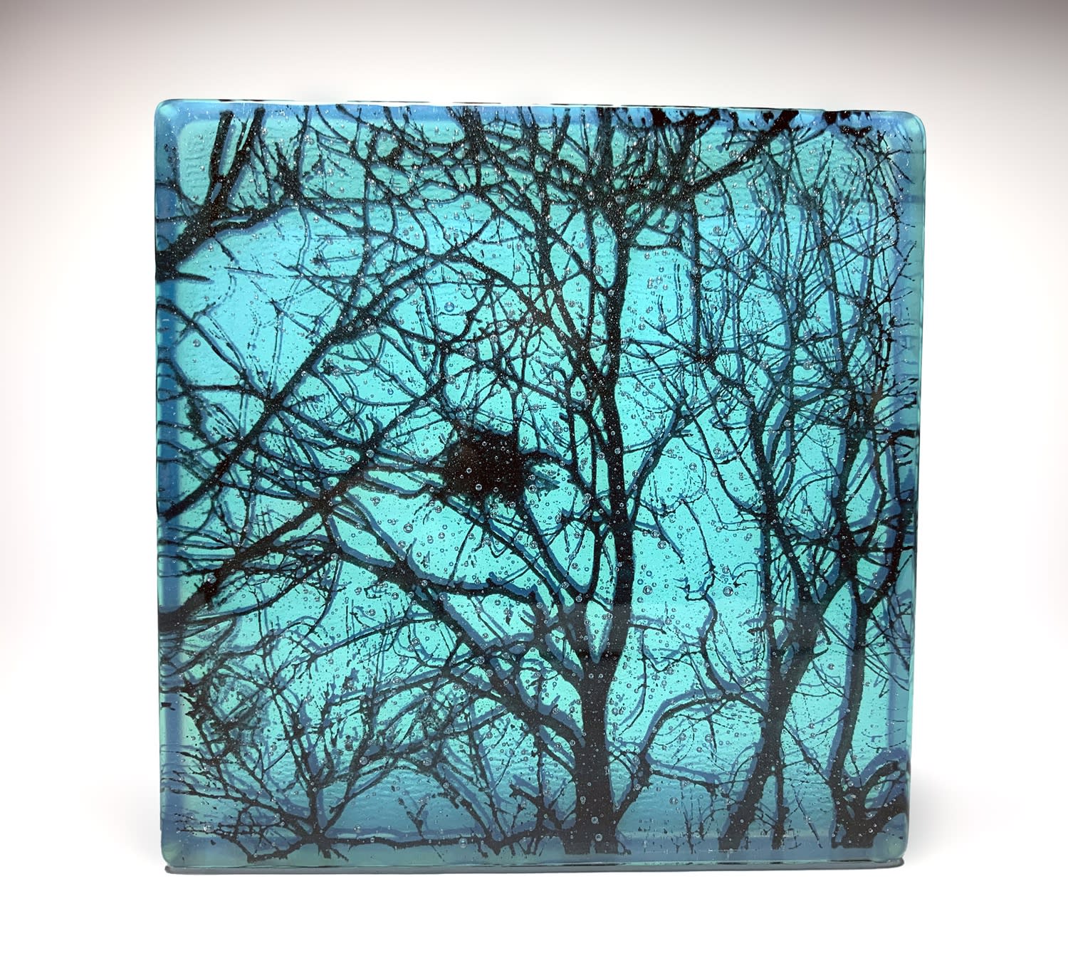 Helen Slater, Nest