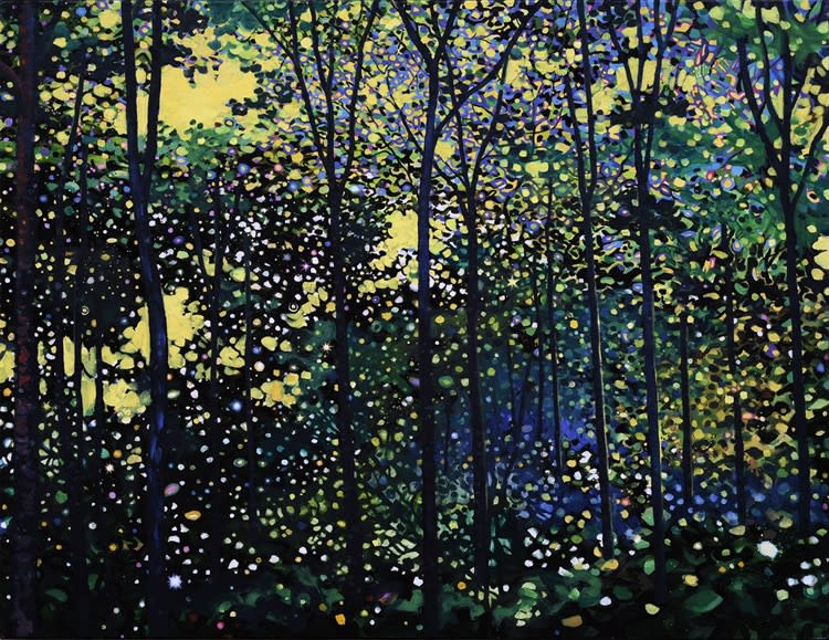 Jim Whitty, Forest Constellation