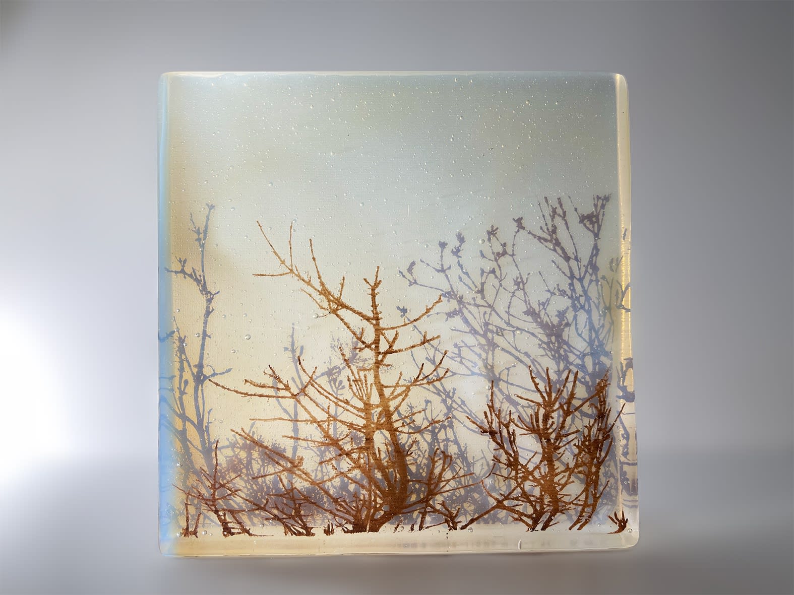 Helen Slater, Hedgerow, 2024