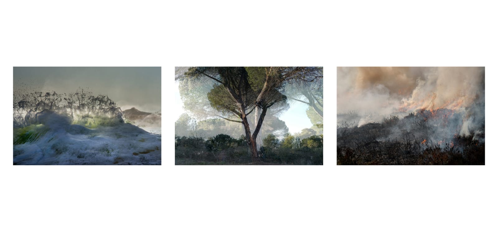 Rory Carnegie, Flow, Growth, Change II, 2025