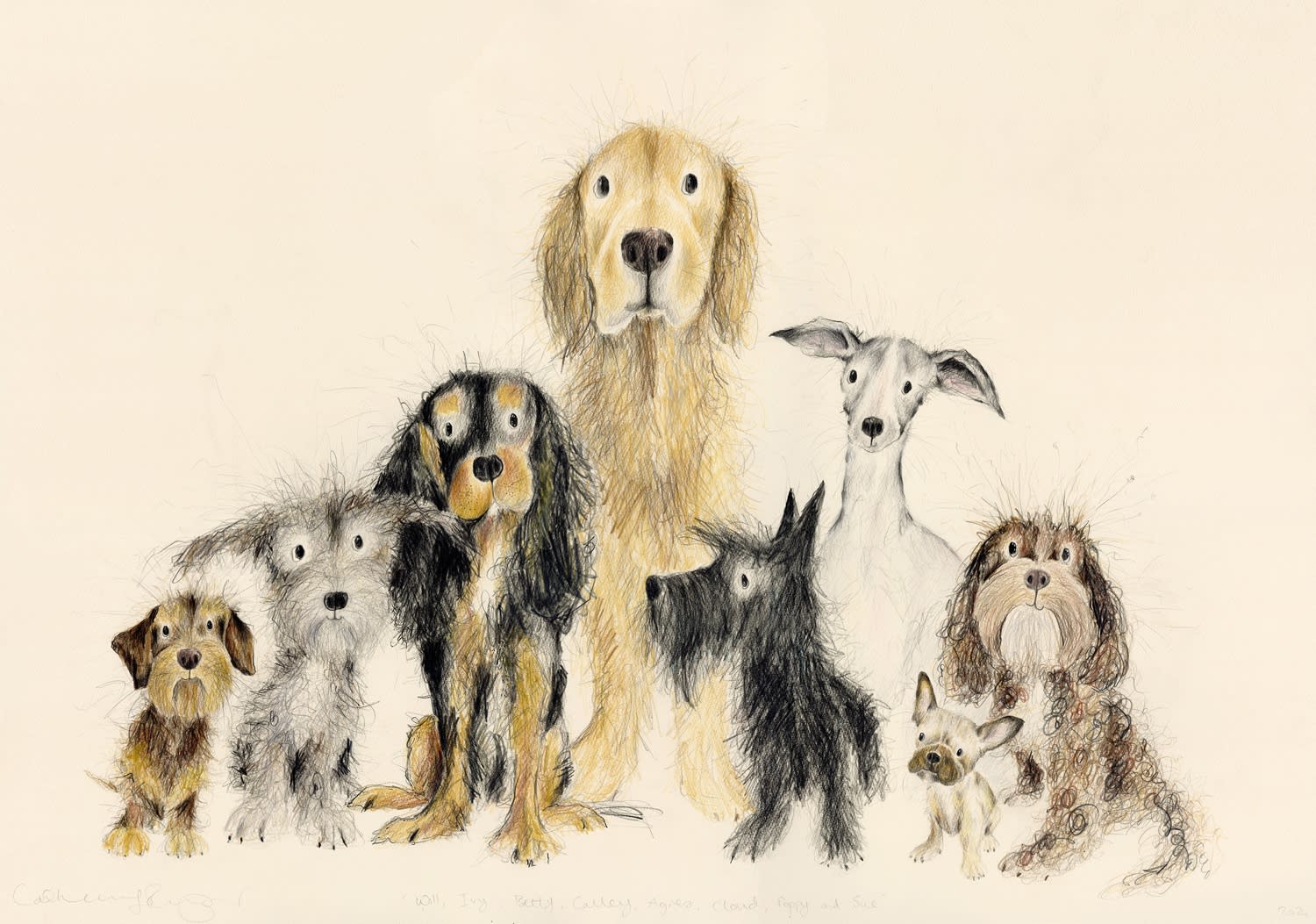 Catherine Rayner, The Motley Crew, 2024