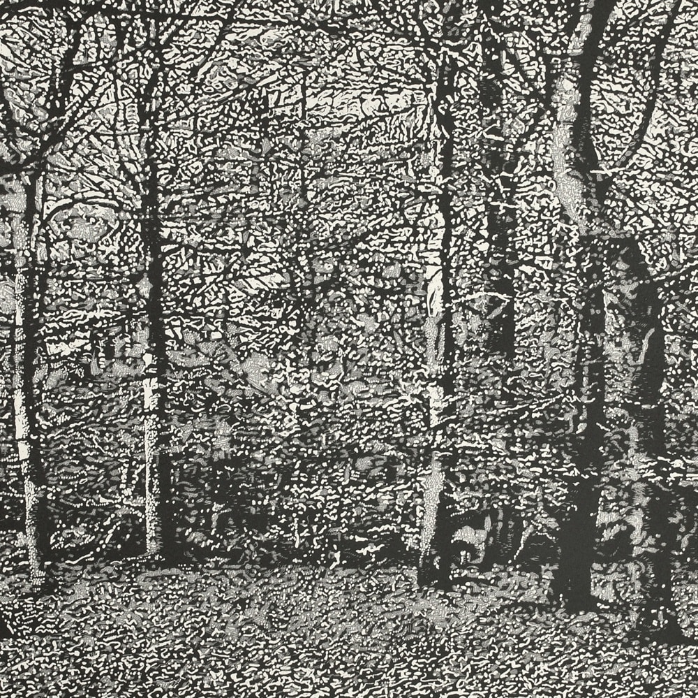 Trevor Price, Woodland II