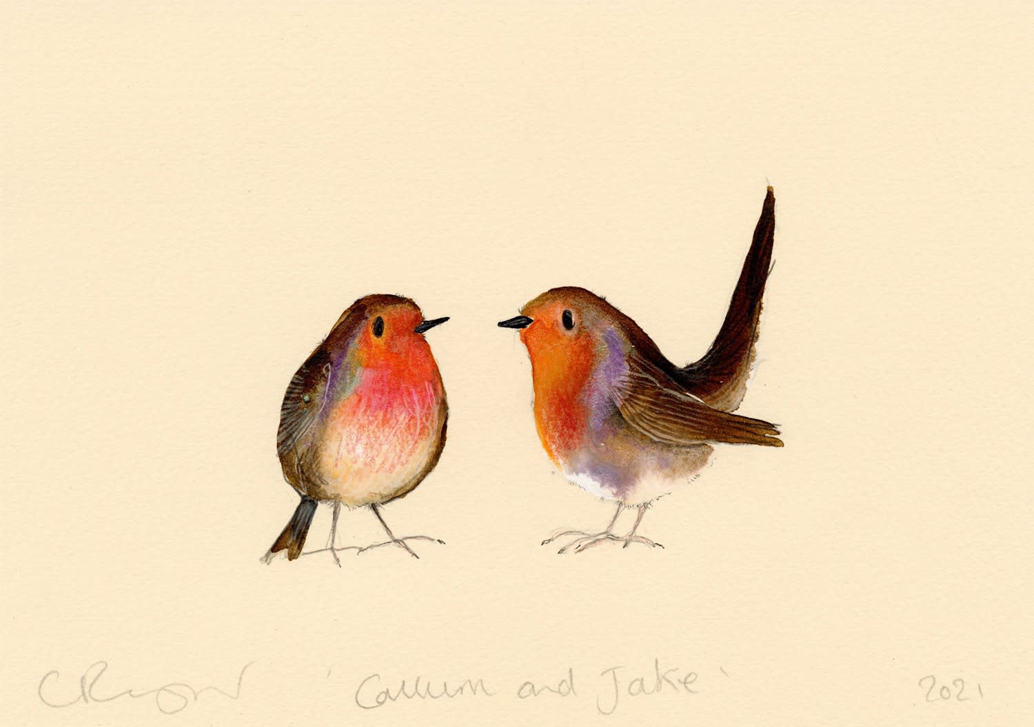 Catherine Rayner, Callum and Jake, 2021