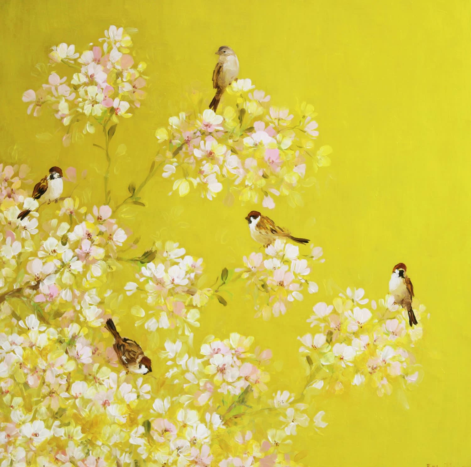 Fletcher Prentice, Cherry Blossom, Songbirds, 2020