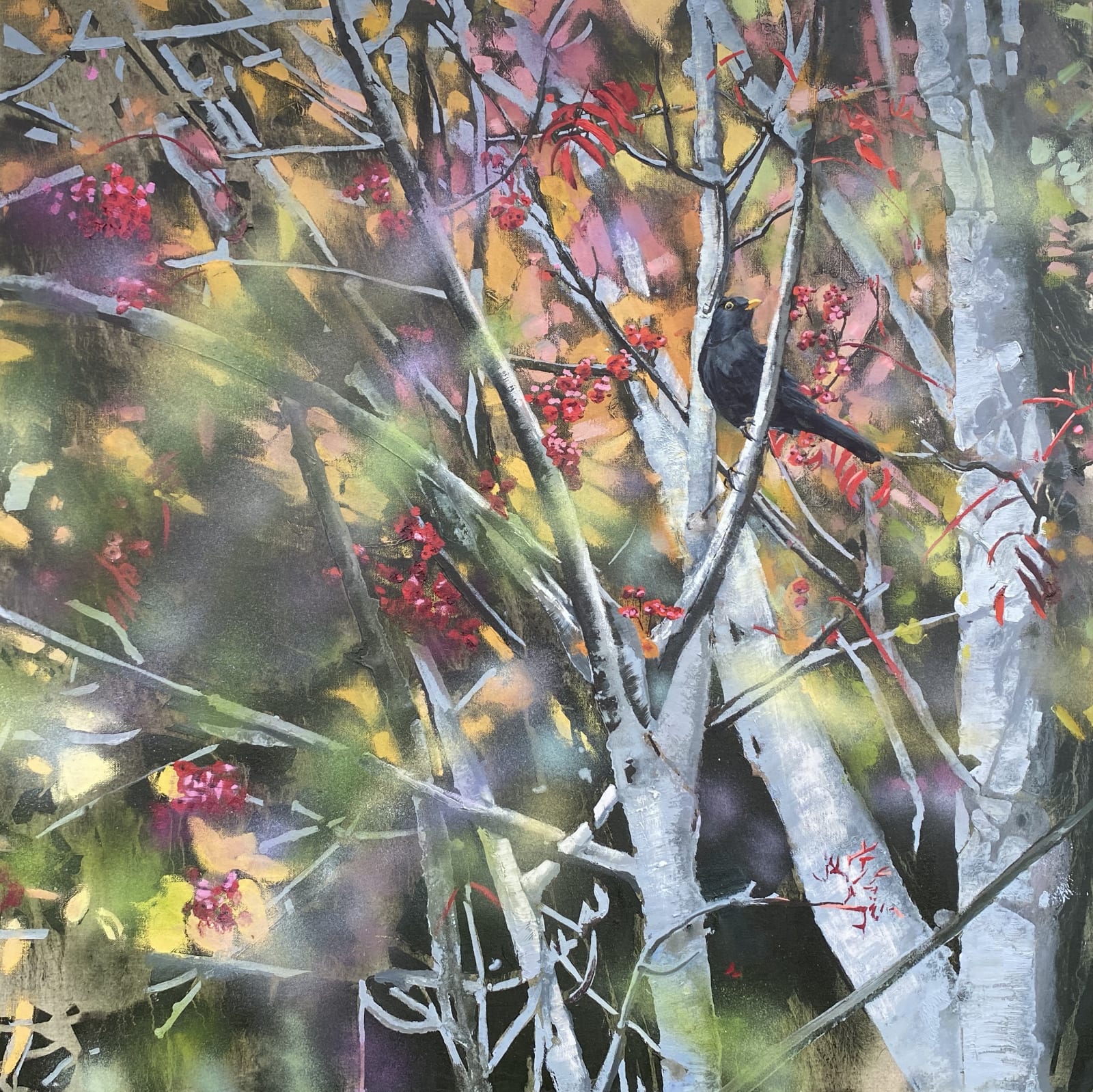 James Fotheringhame, Blackbird, Rowan, 2023