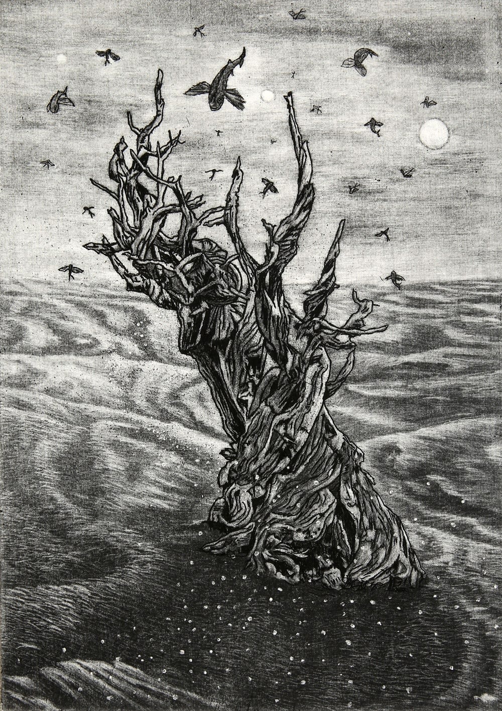 Ade Adesina, The Long Walk
