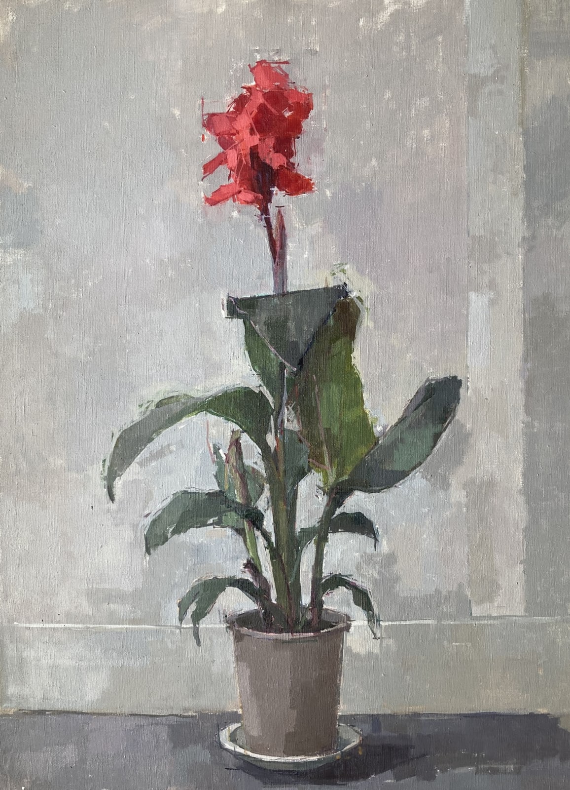 Sarah Spackman, Canna, 2023
