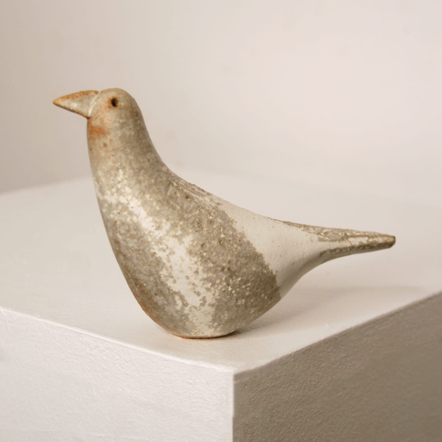 Jane Muir, Snow Bird - 2