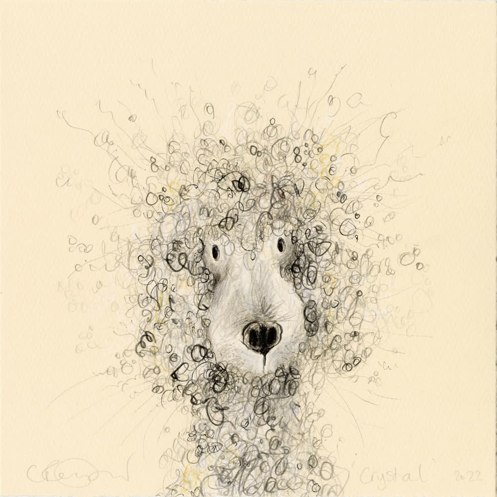 Catherine Rayner, Crystal (Poodle), 2022