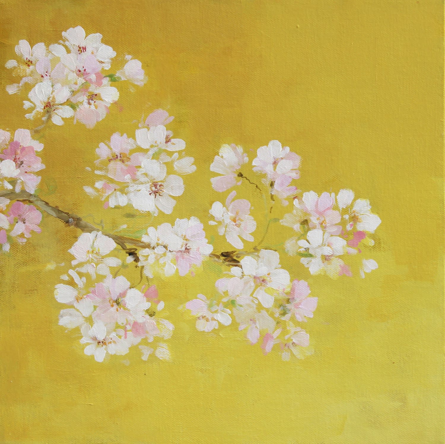 Fletcher Prentice, Cherry Blossom, 2020