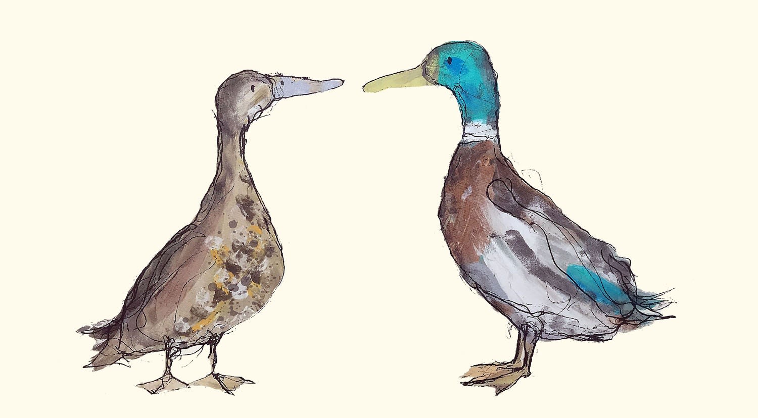 Catherine Rayner, Gracey & Nevis