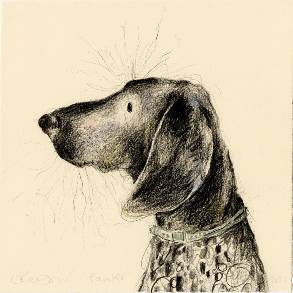 Catherine Rayner, Painter (Pointer), 2022