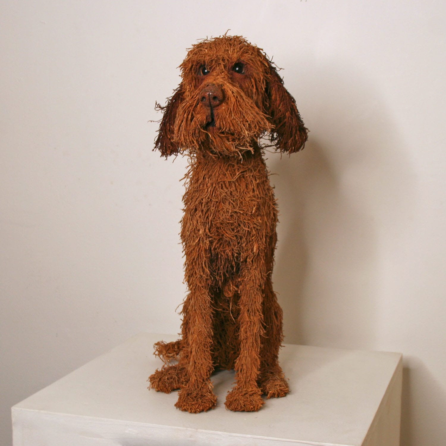 Gemma Rees, Digby (Wire-Haired Vizsla)