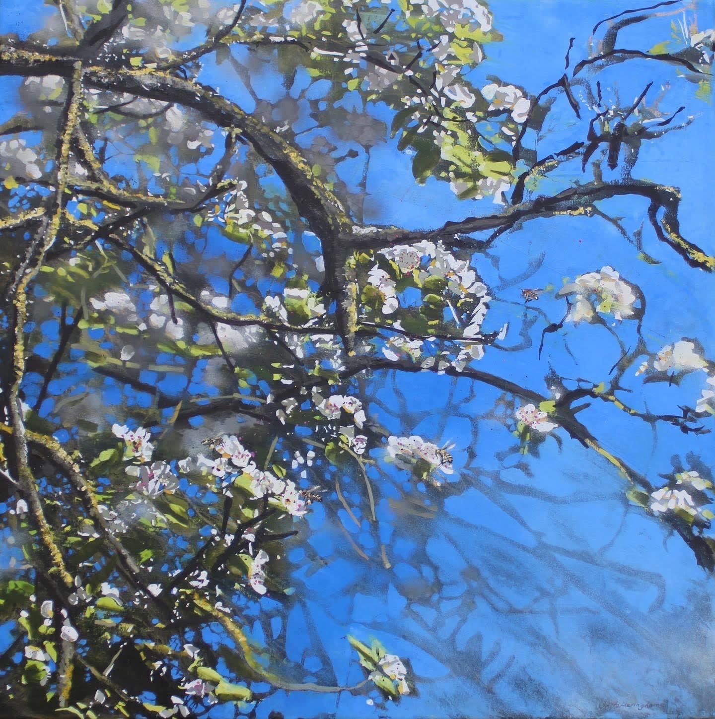 James Fotheringhame, Honeybees, Pear Blossom, 2022
