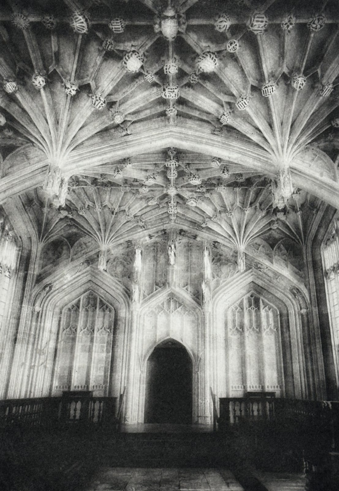 Lindsey Moran, Divinity, 2024