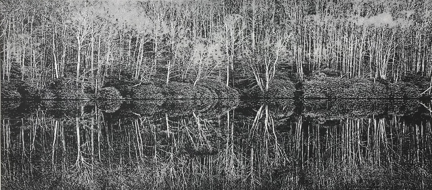 Trevor Price black and white drypoint of trees and bushes reflected in water