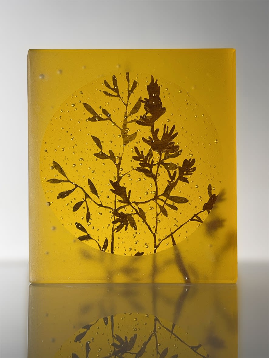 Helen Slater, Mini Cast - Grasses Series #3, 2024