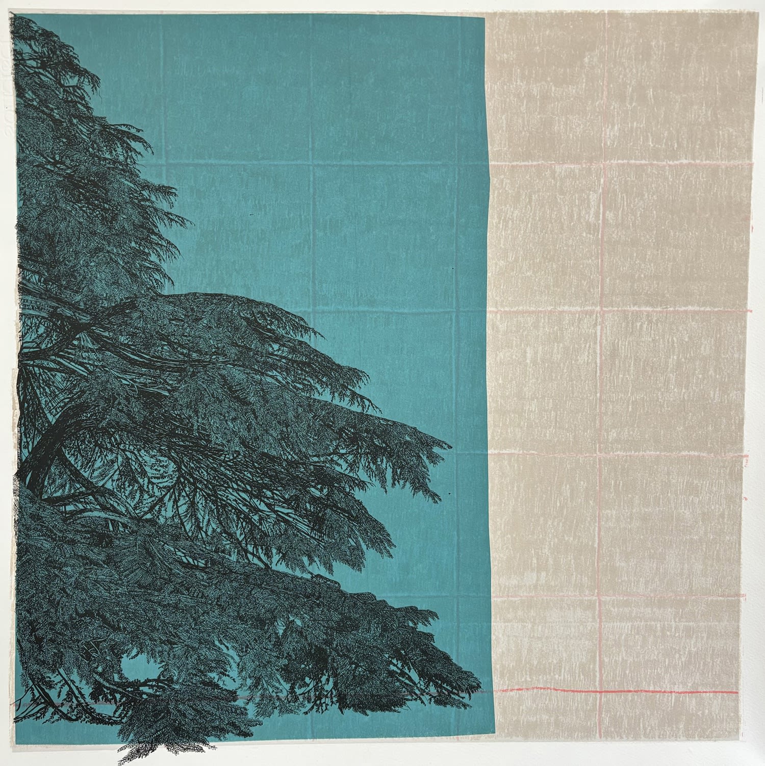 Clare Halifax, The Side of a Tree, 2025