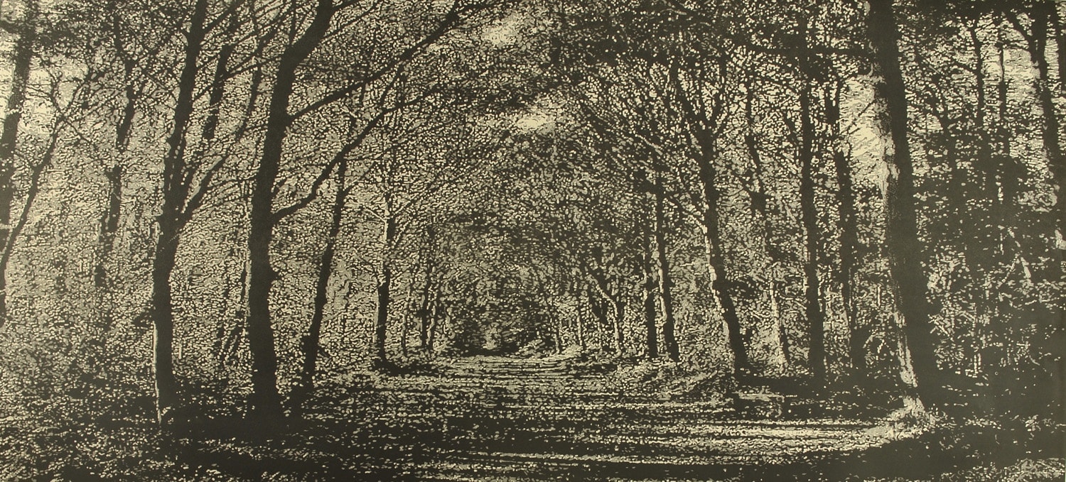 Trevor Price detailed black and white drypoint of woodland pathway, boughs of trees create a central canopy