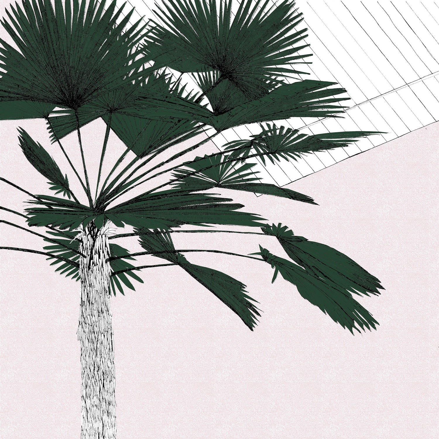Clare Halifax, A Green Palm's Blush, 2021