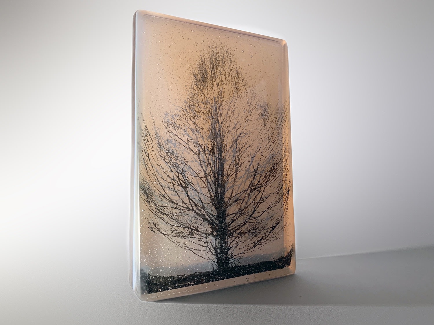 Helen Slater, Evening Oak