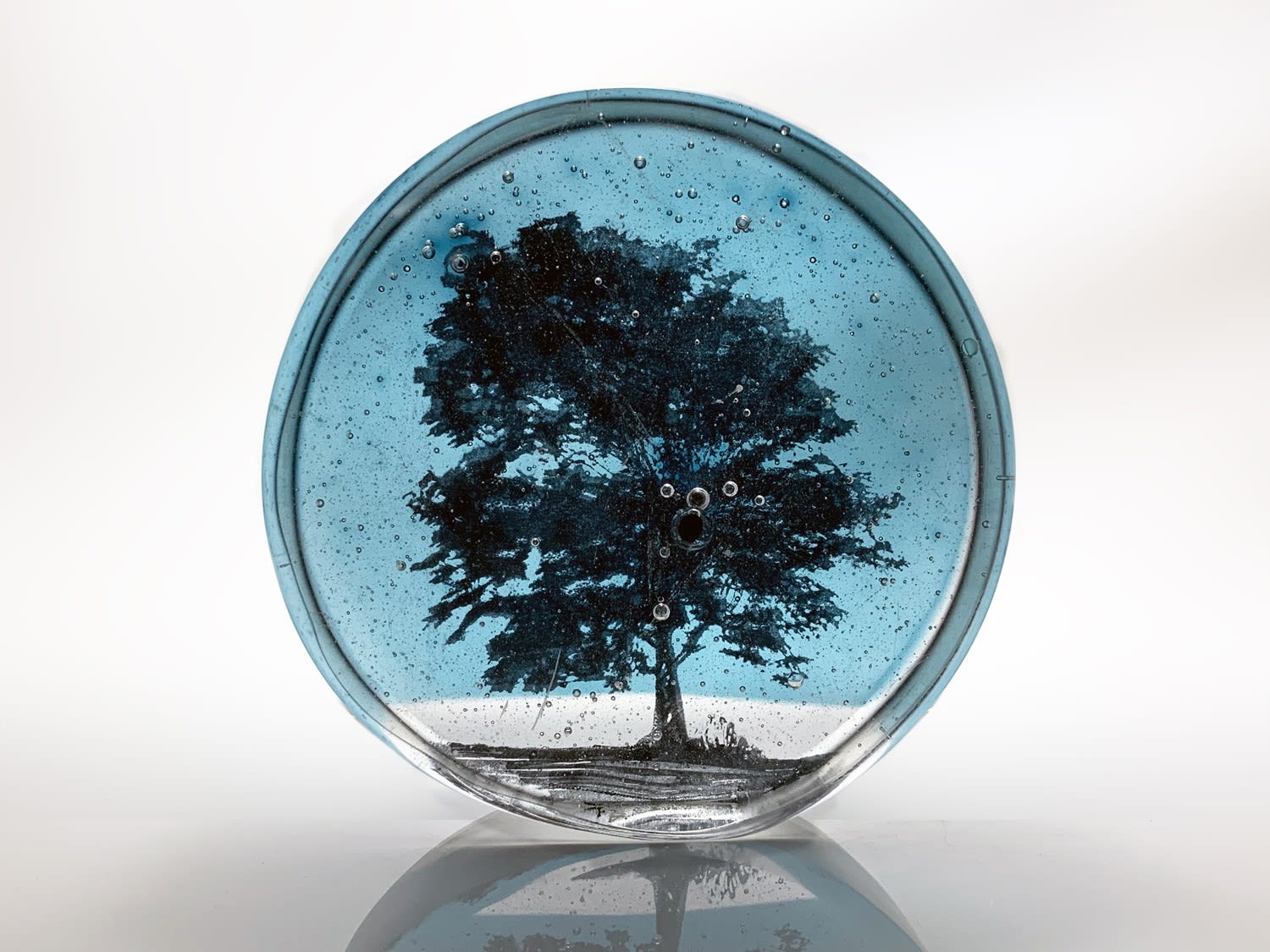 Helen Slater, Ash Tree