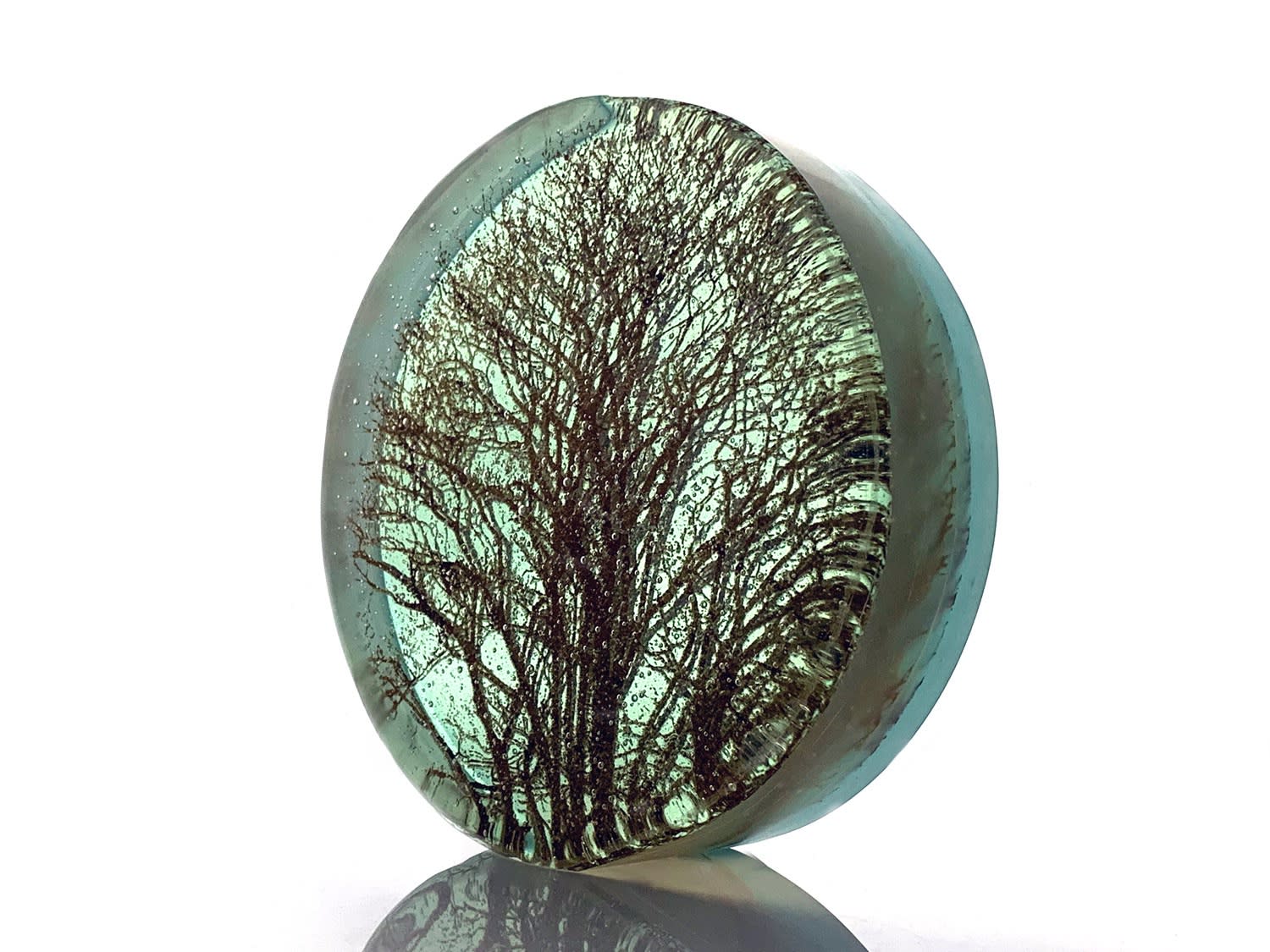 Helen Slater, Oak Branches