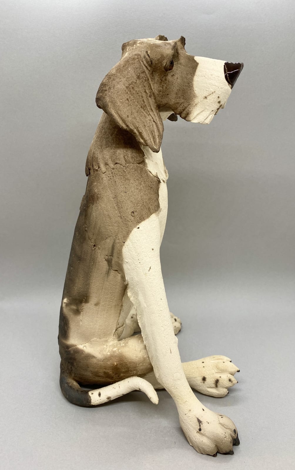 Virginia Dowe Edwards, Seated Scruffy Dog with White Tummy, 2022