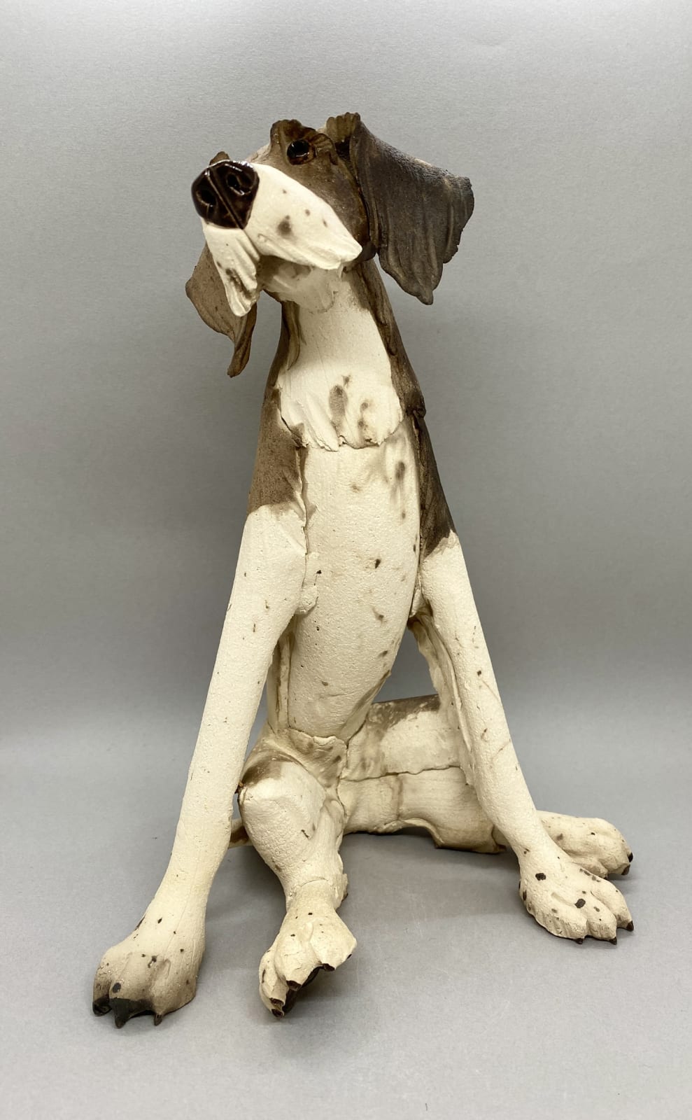 Virginia Dowe Edwards, Seated Scruffy Dog with White Tummy, 2022