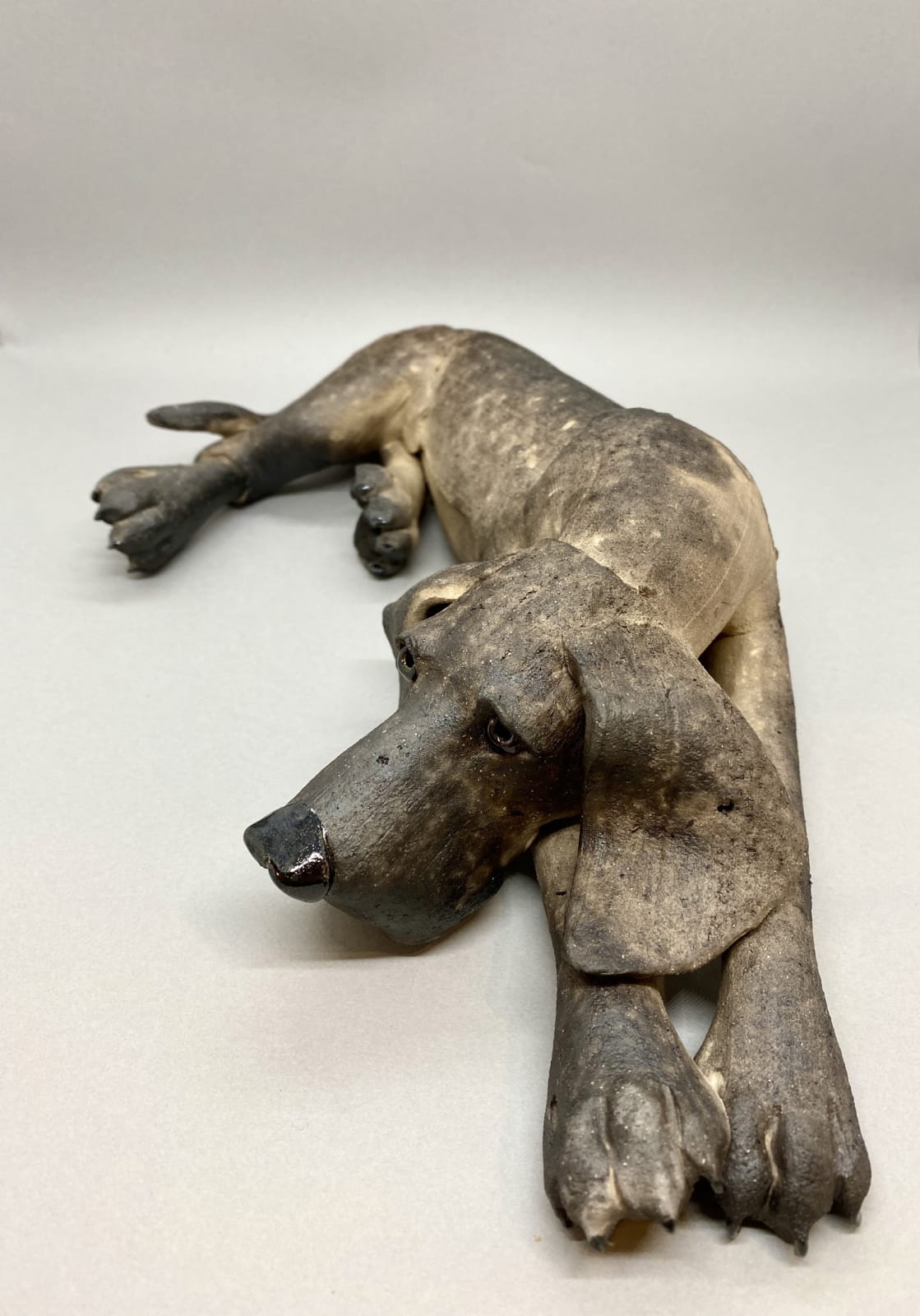 Virginia Dowe Edwards, Lying Down Smoky Black Dog, 2022