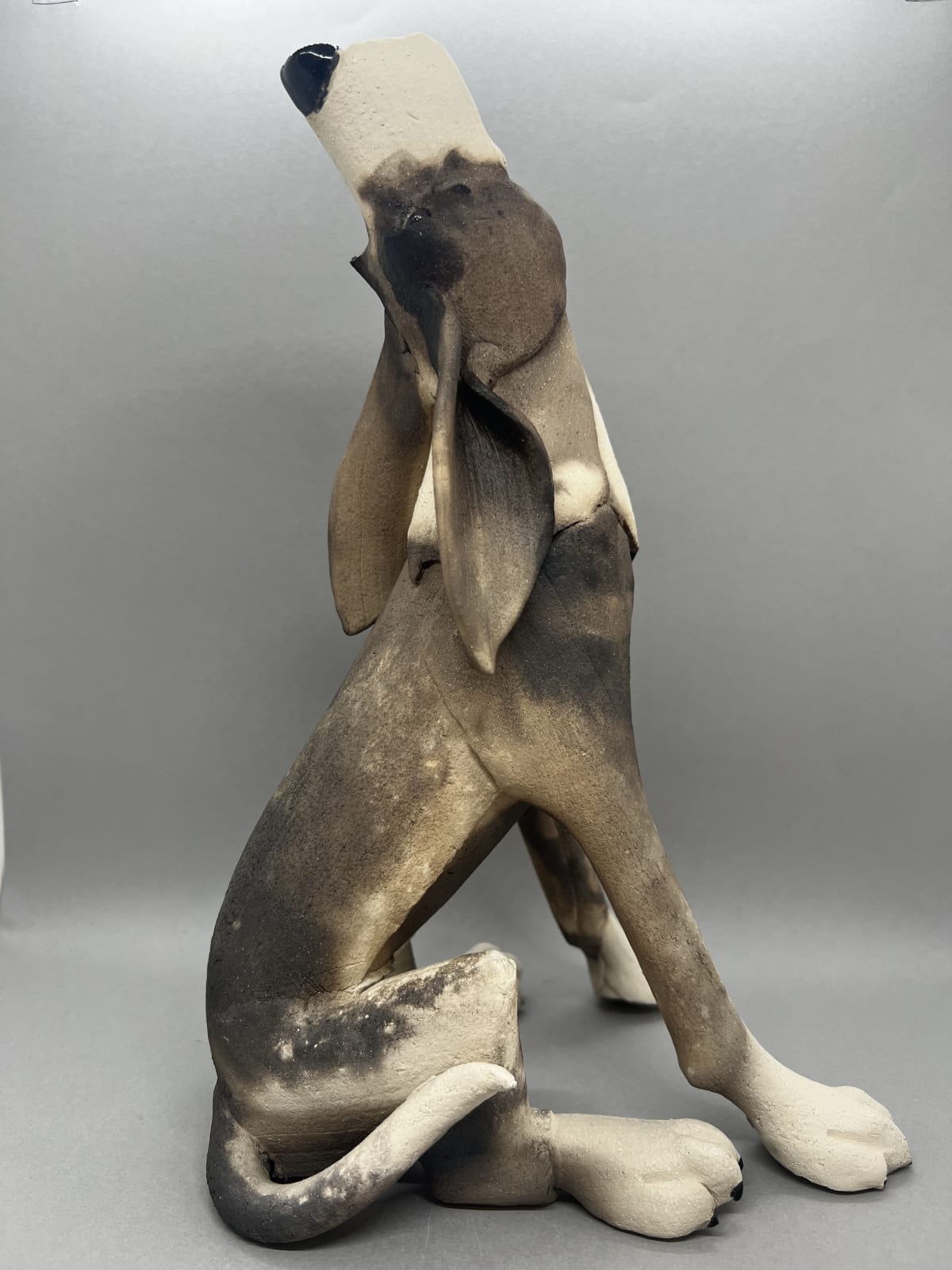 Virginia Dowe Edwards, Sitting Patchy Dog