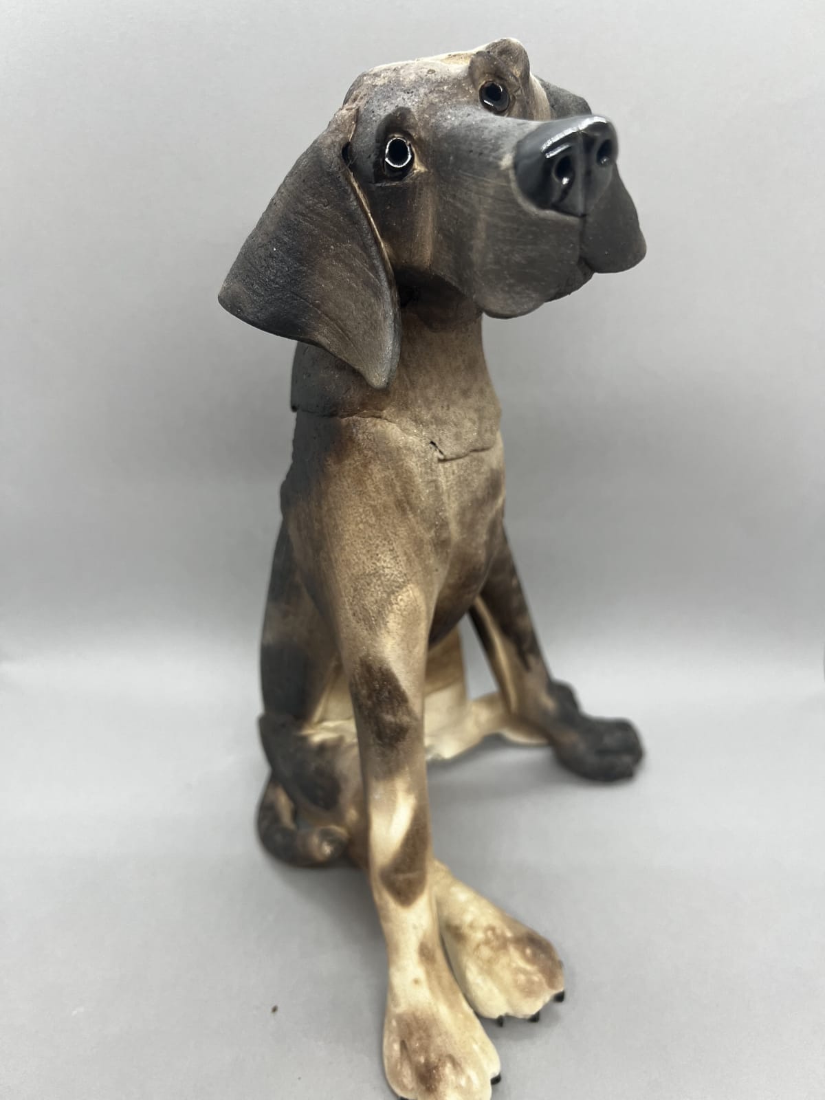 Virginia Dowe Edwards, Seated Dog