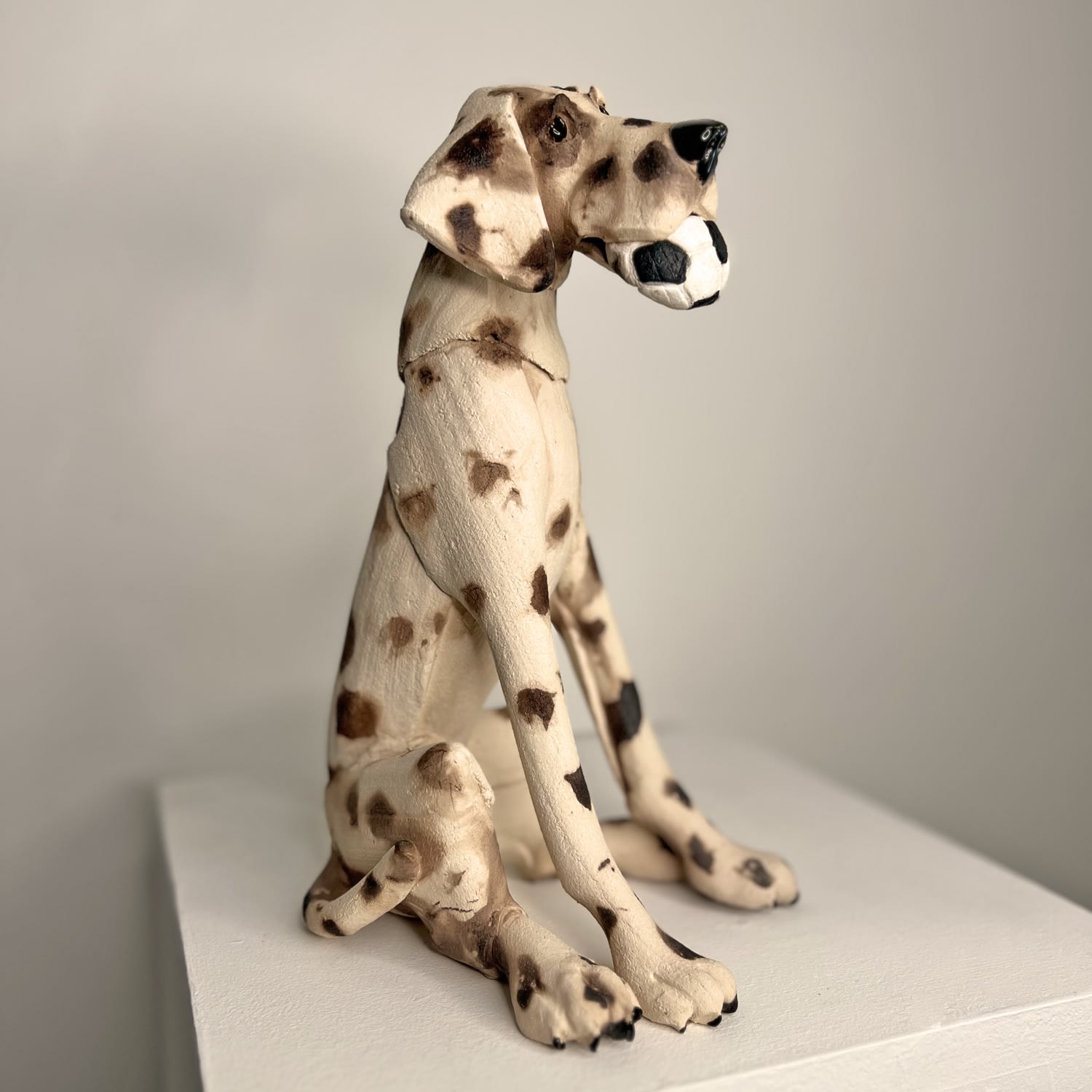 Virginia Dowe Edwards, Seated Spotty Dog With Football, 2025