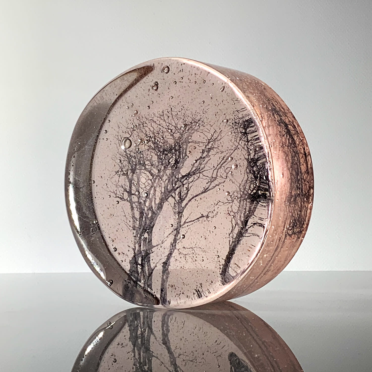 Helen Slater, Evening Winter Branches, 2025