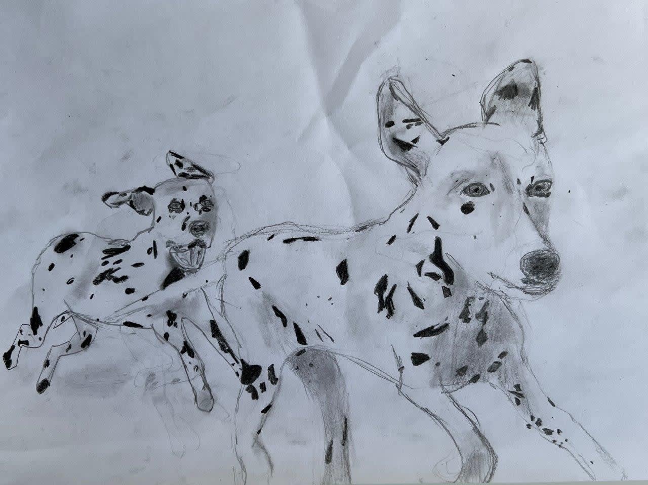 A child's drawing in pencil of two Dalmatian hounds running with their ears flyin