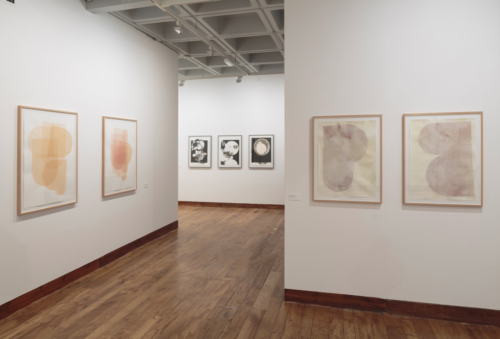 <p>Installation view: 'Strange Foreign Bodies', The Hunterian, Glasgow (2018-2019)</p>