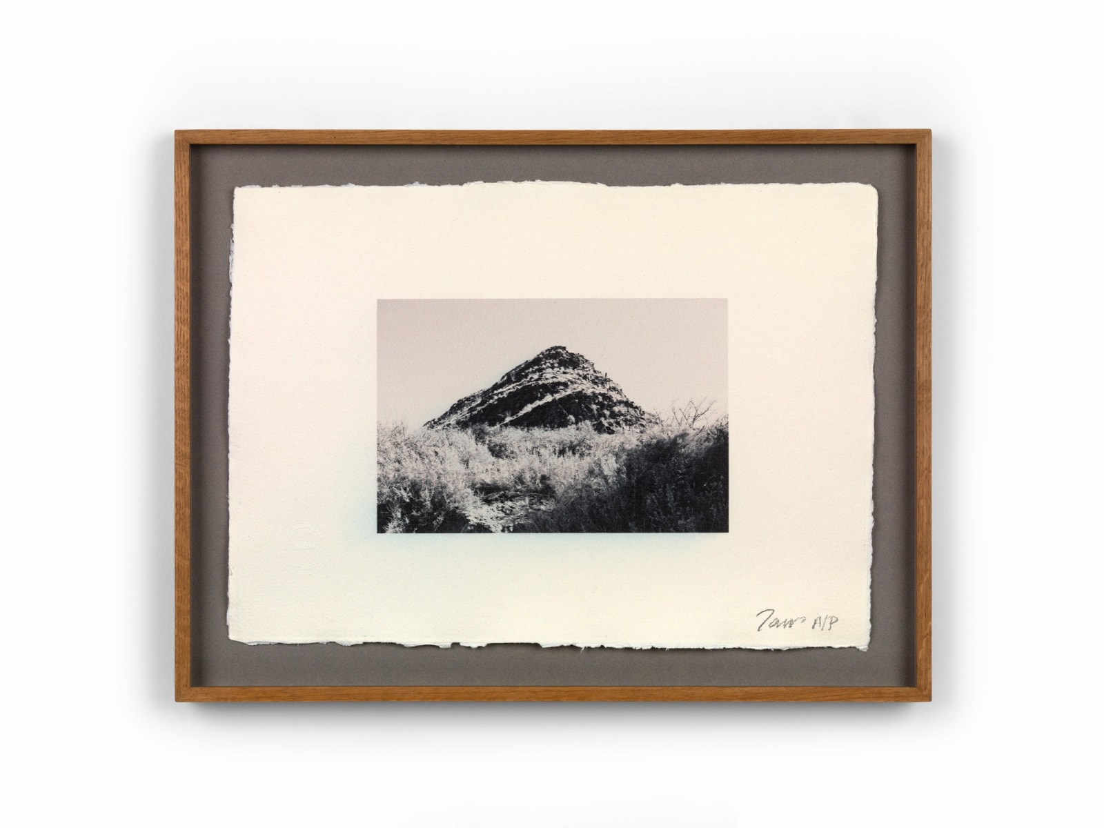 Deborah Tarr, Rare Earth I, 2025