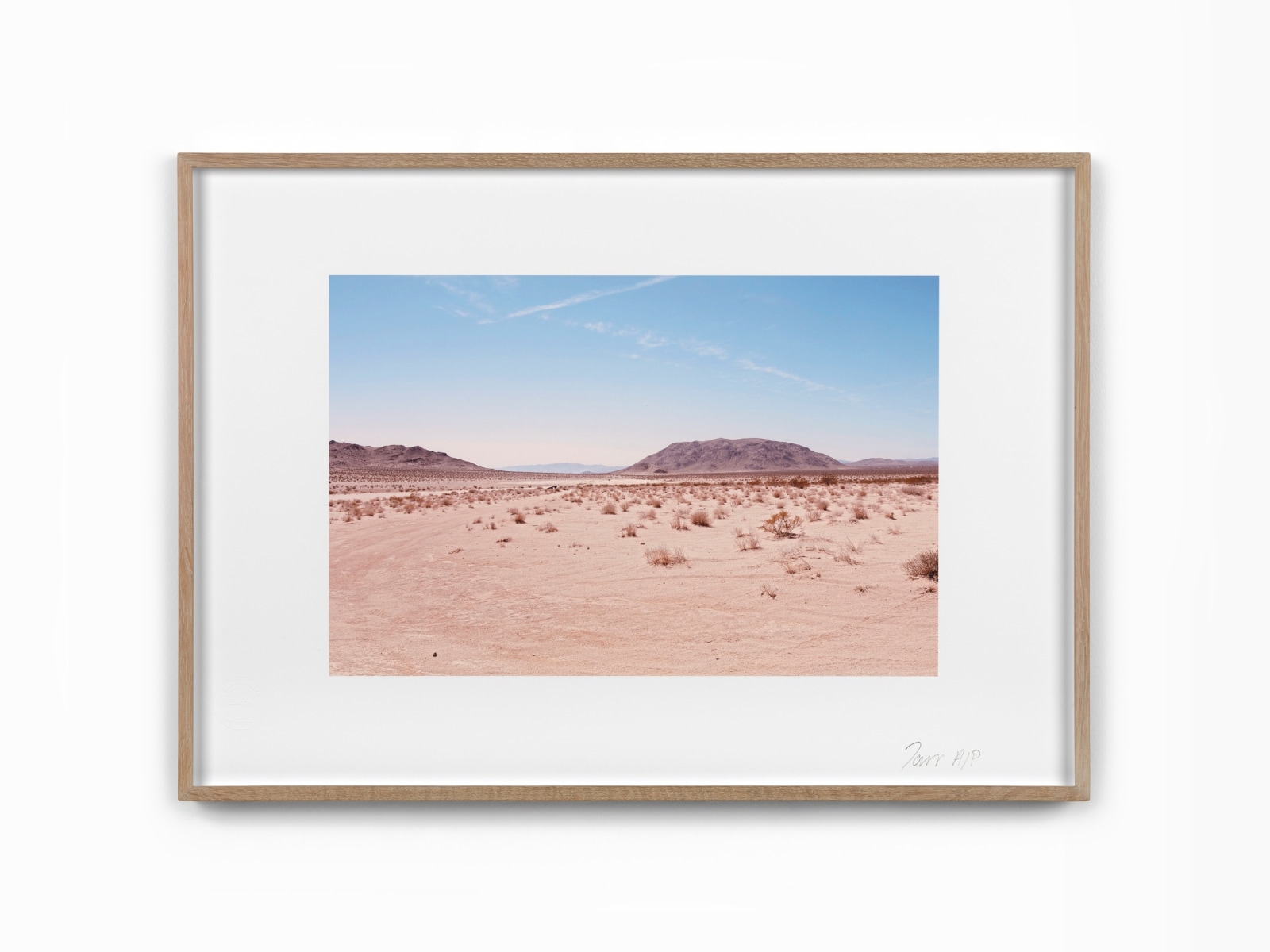 Deborah Tarr, Cali Desert II, 2025