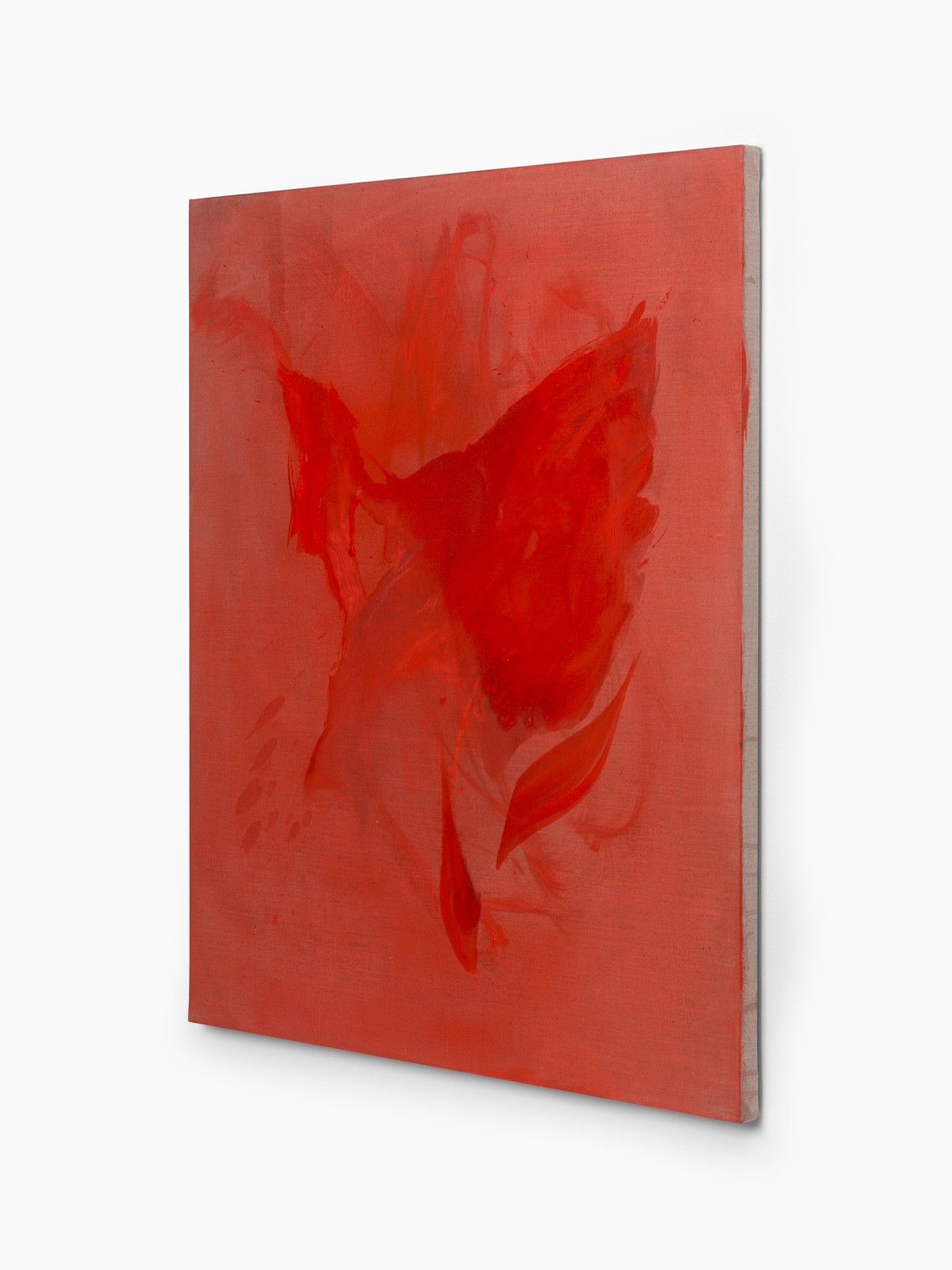 Juliette Paull, Celosia, 2025