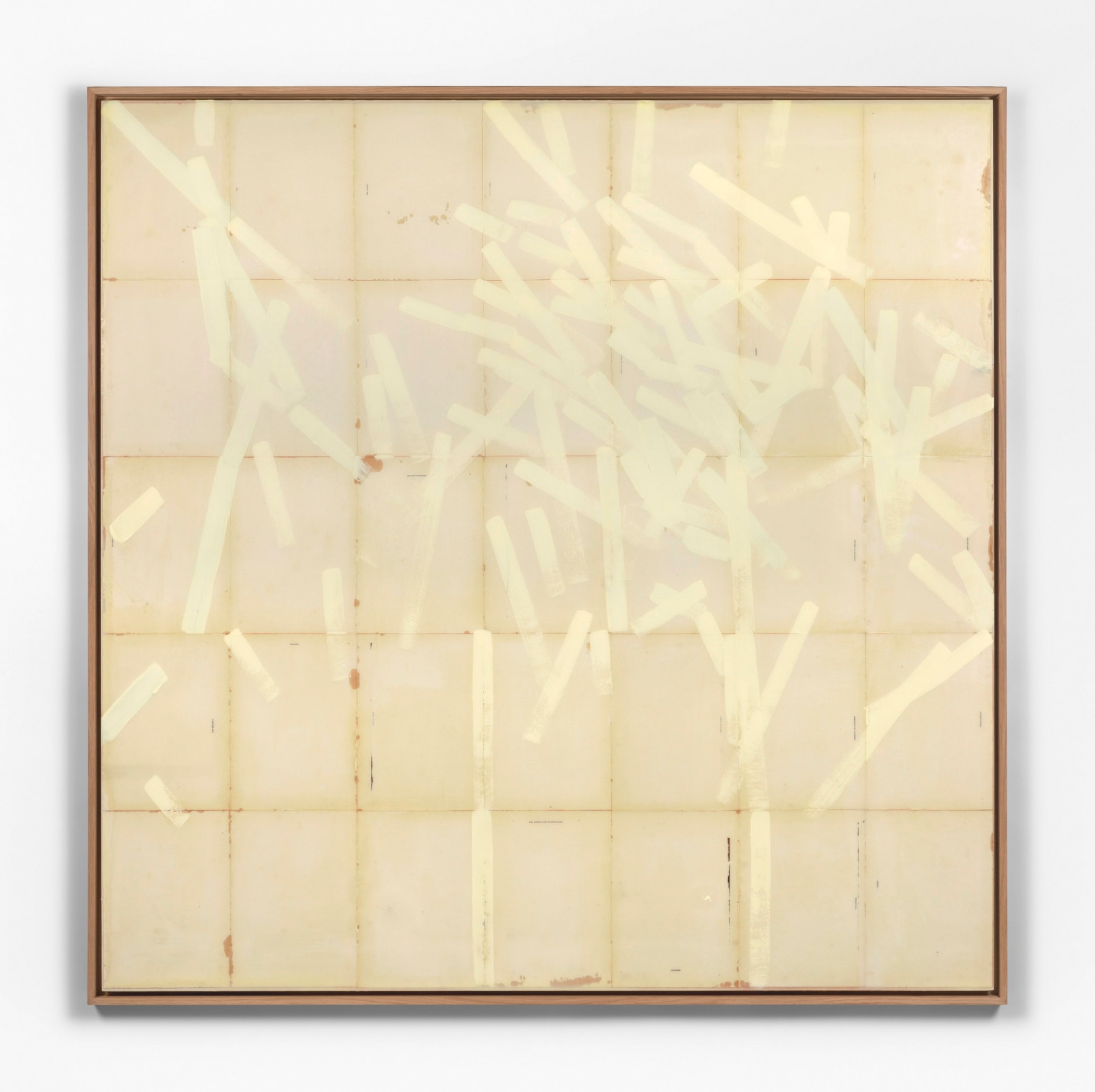 Sam Lock, Hiding in the light, 2024