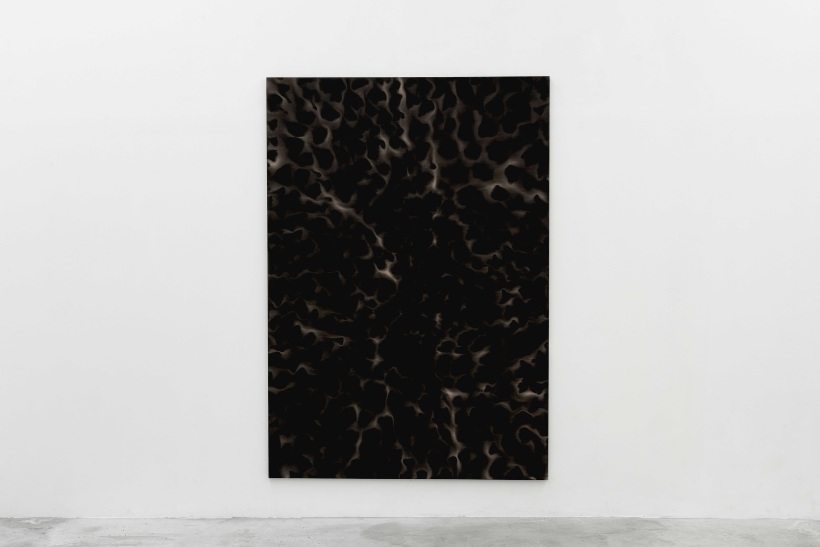 Leonardo Anker Vandal, The Shyness of the Peaks, Rivers in the Sky, 2023