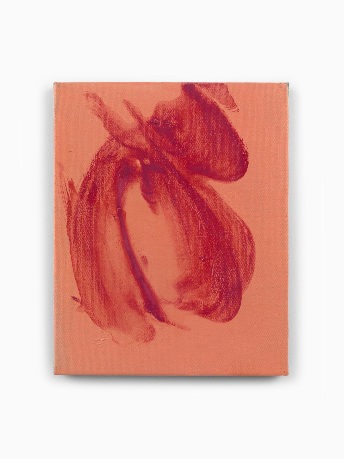 Juliette Paull, Salvia, 2025