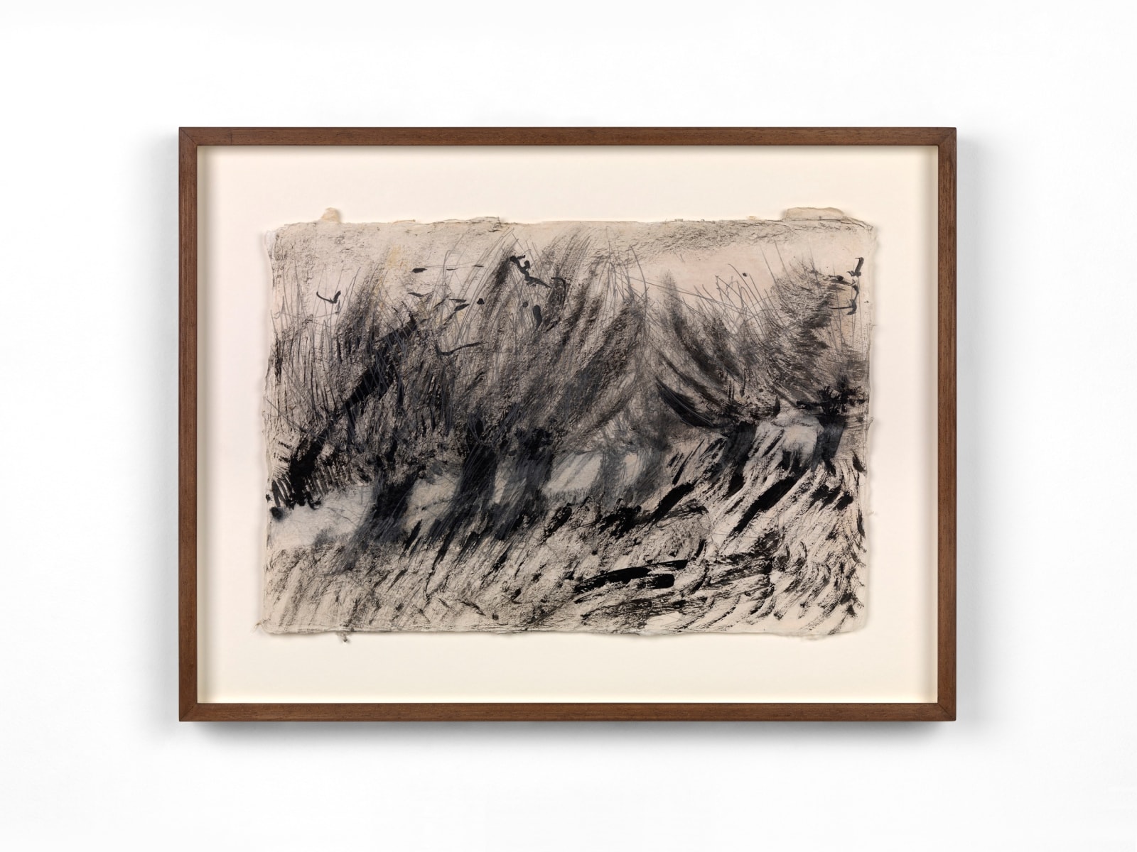 Nuria Maria, Willows in Wittem IV, 2025