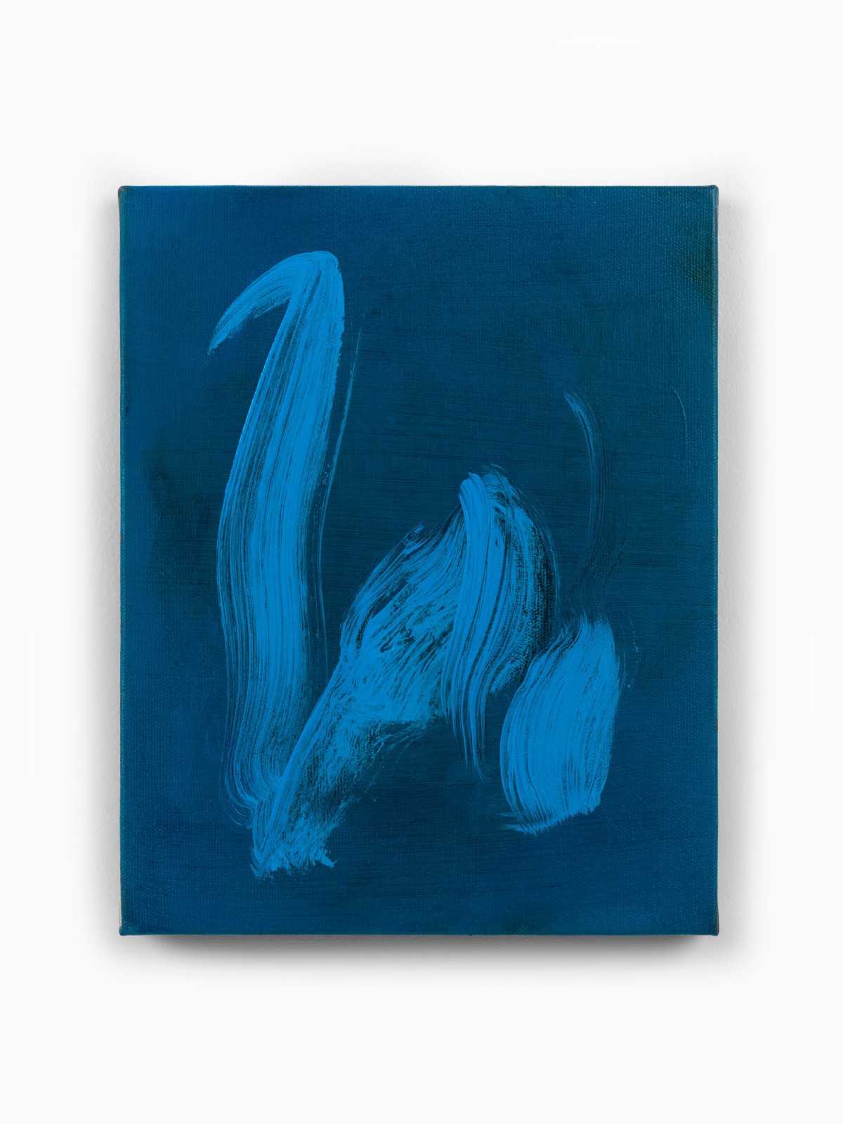 Juliette Paull, Phlox, 2025