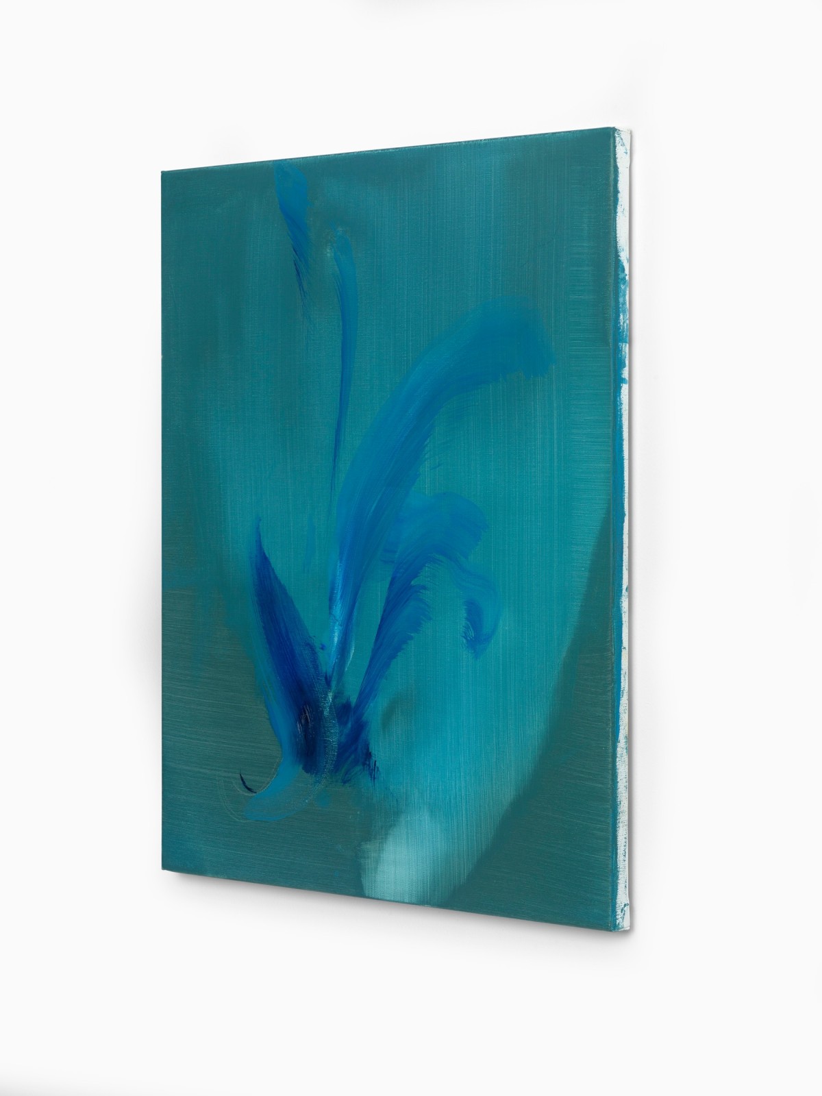 Juliette Paull, Vanda, 2025