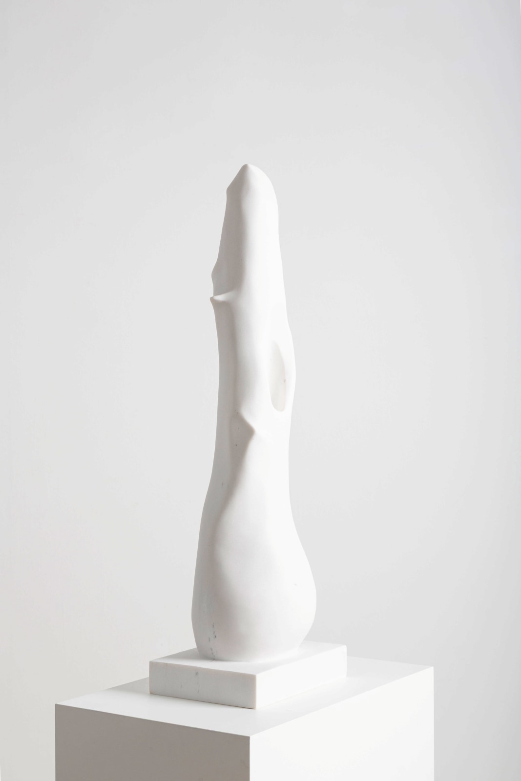 Pia Ortuño, Oropendola, 2025