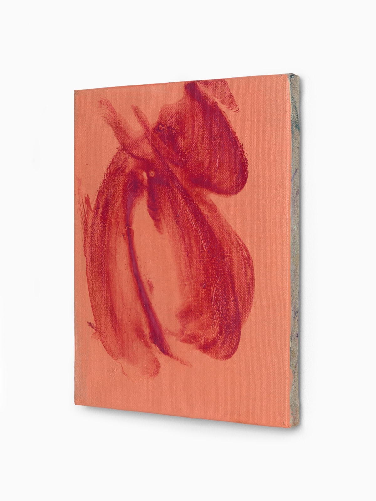 Juliette Paull, Salvia, 2025