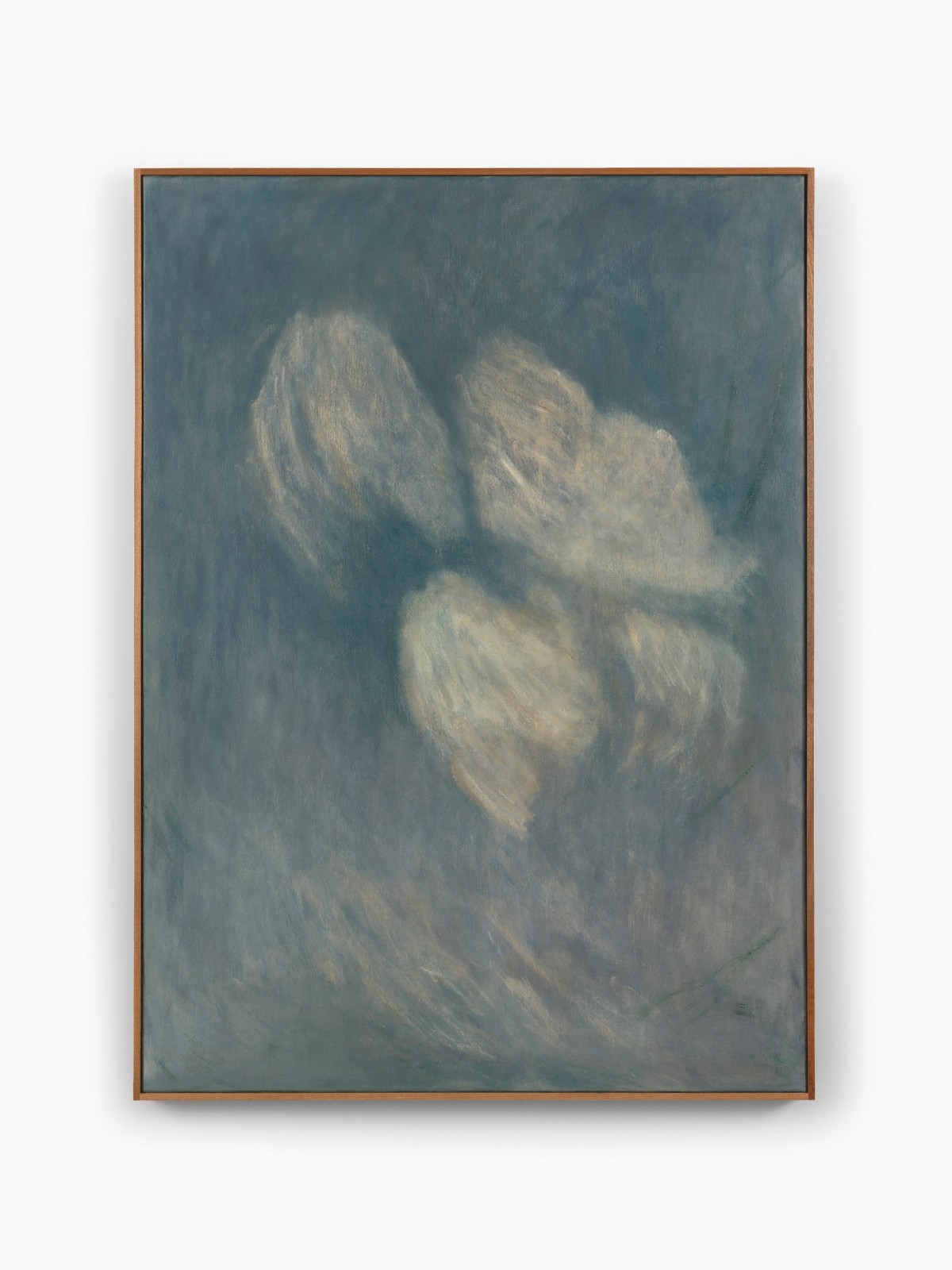 Nuria Maria, Cherry Blossom in Wittem, 2025