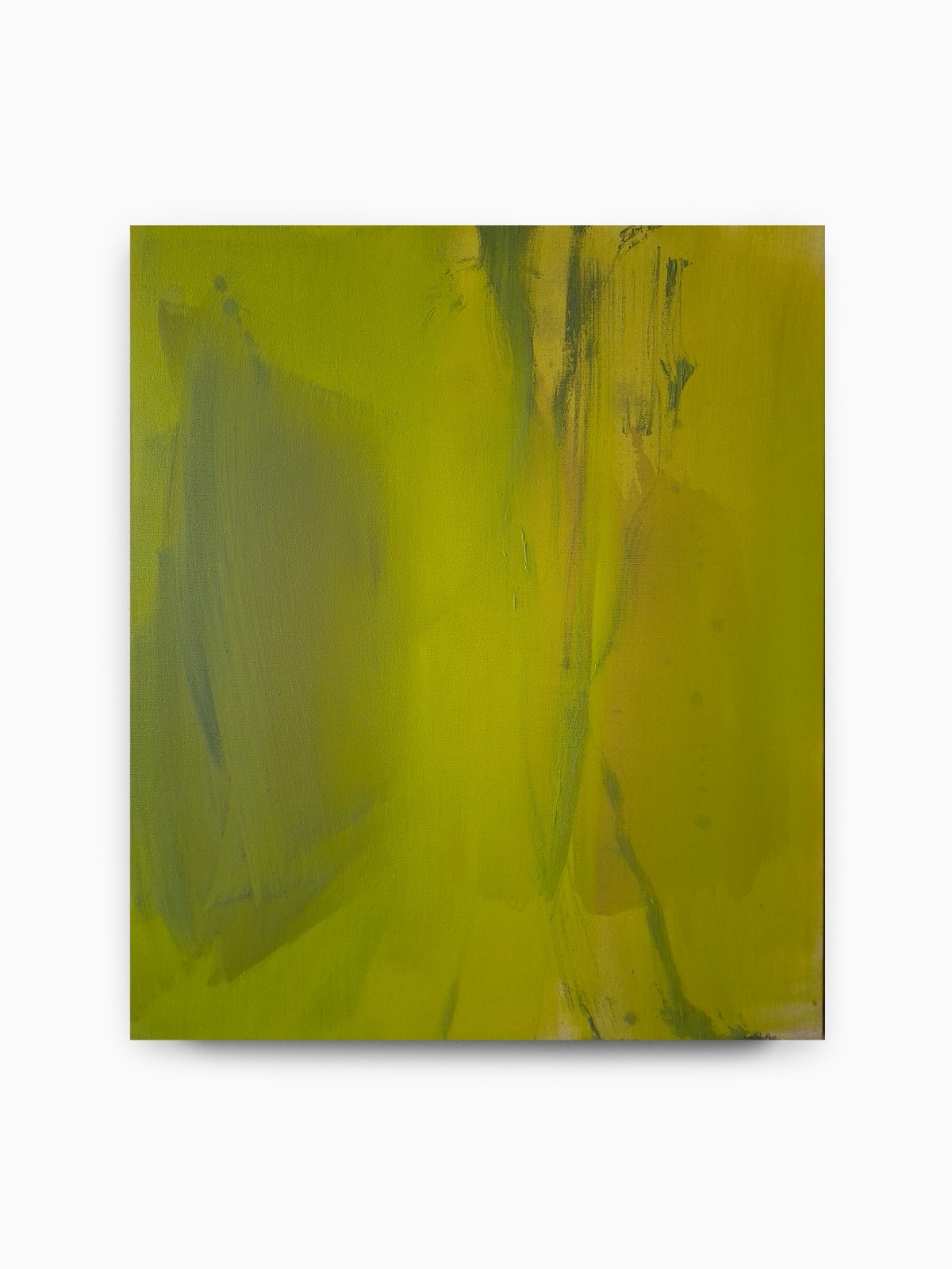 Juliette Paull, Aloe, 2025